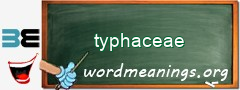 WordMeaning blackboard for typhaceae
